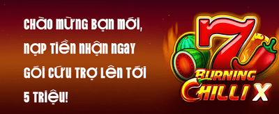 Hoàn Trả VIP Không Giới Hạn